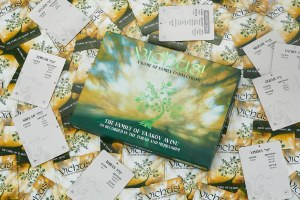 Picture of Yichus! Card Game